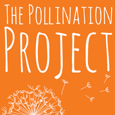 The-pollination-project-logo